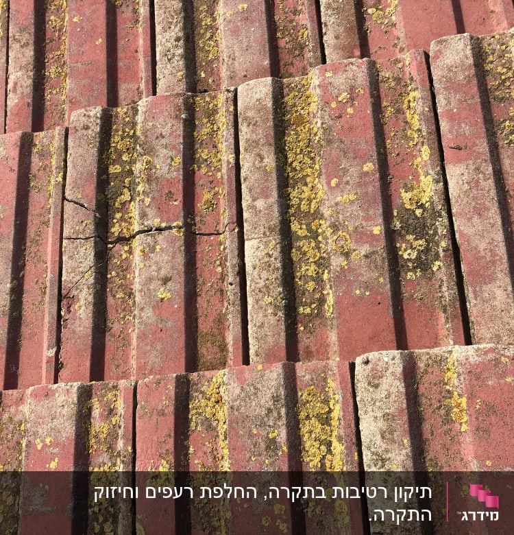 רעפים אדומים עם סדקים וטחב צהוב